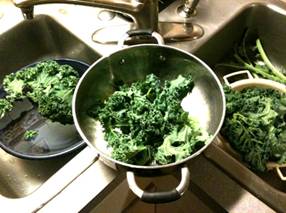 Description: Description: Description: Description: Description: Kale-Carrots-Prep-2-4x6.jpg