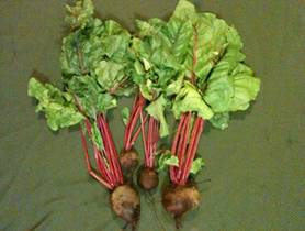 Share-Week-2 Beets-4x6.jpg