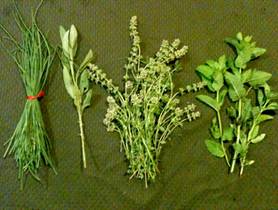 Share-Week-2 Herb Bouquet-4x6.jpg