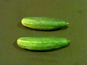 Description: Description: Description: Description: Description: MRVG-CSA-Week 4 07-21-2011-Cucumber-4x6.jpg