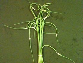 Garlic-Scapes-4x6.jpg