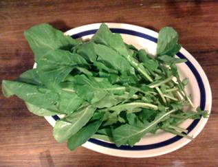 Description: Description: Description: Description: Description: Description: Description: Description: Description: Description: Arugula.jpg