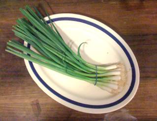 Description: Description: Description: Description: Description: Description: Description: Description: Description: Description: Scallions.jpg